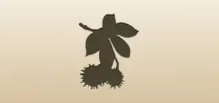 Chestnuts silhouette