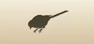 Magpie silhouette