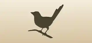 Magpie silhouette
