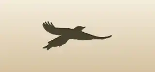 Magpie silhouette