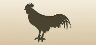 Rooster silhouette