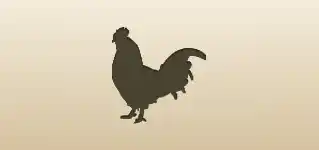 Rooster silhouette