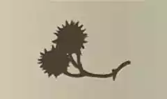 栗のシルエット