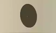 レコードのシルエット