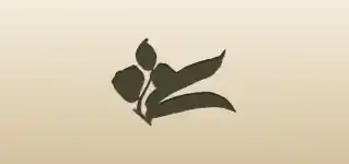 Pea Pod silhouette