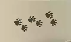 動物の足跡のシルエット