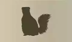 スカンクのシルエット