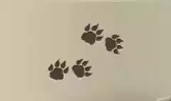 動物の足跡のシルエット