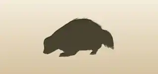 Skunk silhouette