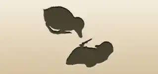 Ducklings silhouette
