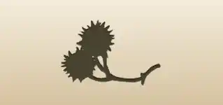 Chestnuts silhouette