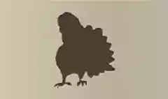 七面鳥のシルエット