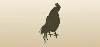 Rooster silhouette