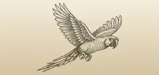 オウムのシルエット