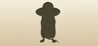 Mouse silhouette