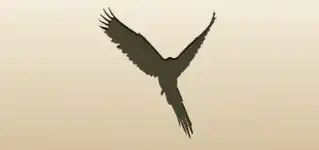 オウムのシルエット