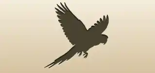 オウムのシルエット