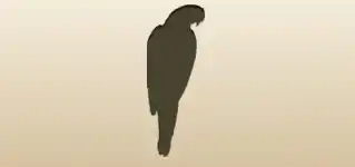 オウムのシルエット