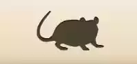 Rat silhouette