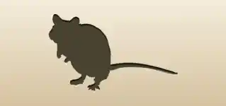ネズミ