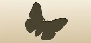 蛾