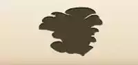 Mushrooms silhouette