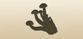 キノコ
