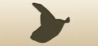 帽子