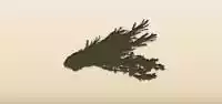 Dried Herbs silhouette