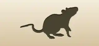 ネズミ
