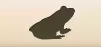 Frog silhouette