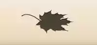Maple Leaf silhouette