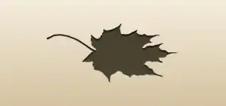 カエデの葉