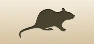ネズミ