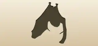 コウモリ