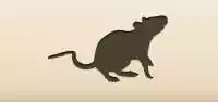 Rat silhouette