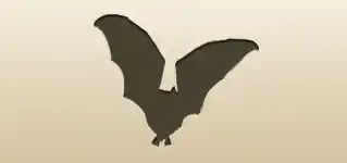 コウモリ