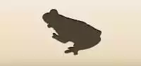Frog silhouette