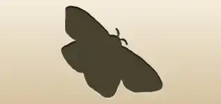 蛾
