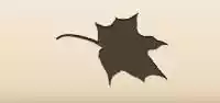 Maple Leaf silhouette