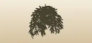 Houseplant
