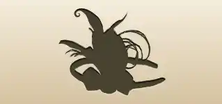 Feather Headband