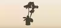 観葉植物のシルエット