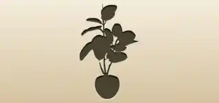 Houseplant