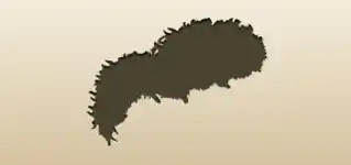 Feather Boa