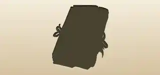 Case File