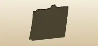 Case File