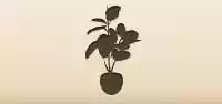 観葉植物のシルエット