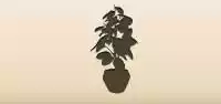 観葉植物のシルエット