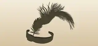 Feather Headband